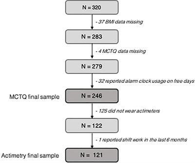 Relationship Between Circadian Strain, Light Exposure, and Body Mass Index in Rural and Urban Quilombola Communities